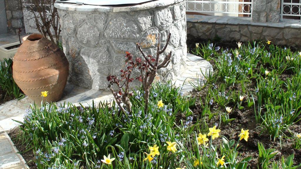 Villa Metulevi Ohrid Ngoại thất bức ảnh
