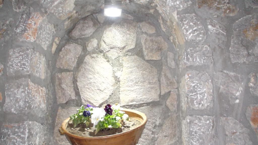 Villa Metulevi Ohrid Ngoại thất bức ảnh