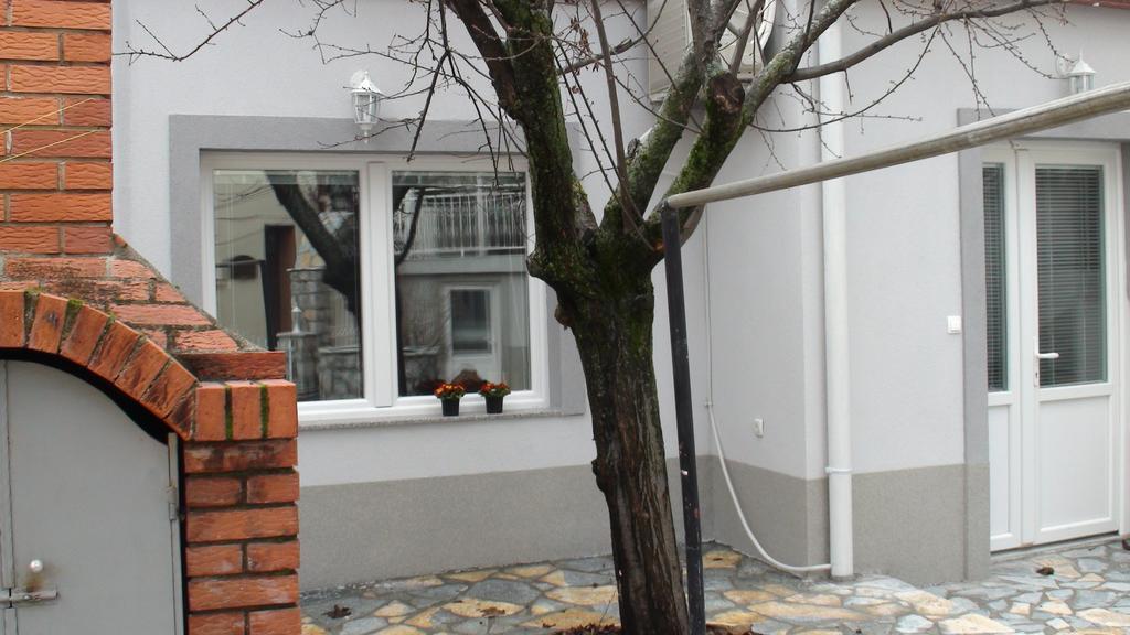 Villa Metulevi Ohrid Ngoại thất bức ảnh